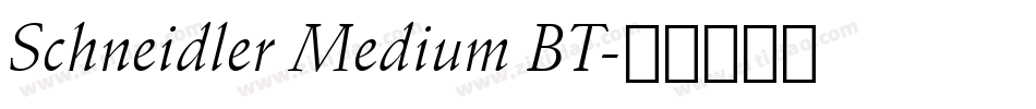 Schneidler Medium BT字体转换